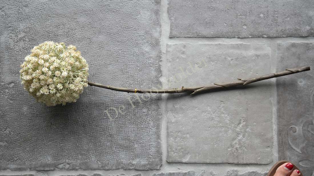 Allium bloem créme XL - namaak kunstmatige bloem op lange stengel tegen grijze stenen muur De Hooyzolder