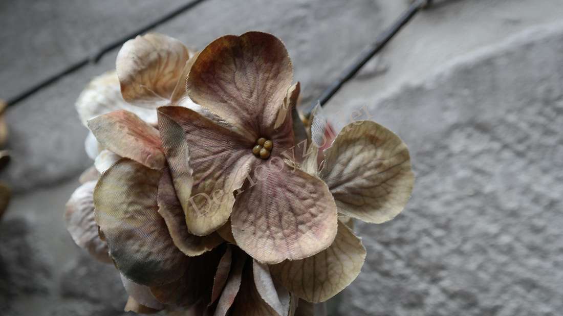 Hortensia gedroogd met zes beige-bruin zijde bloemen, merk De Hooyzolder, niet-bloeiende kunstplant