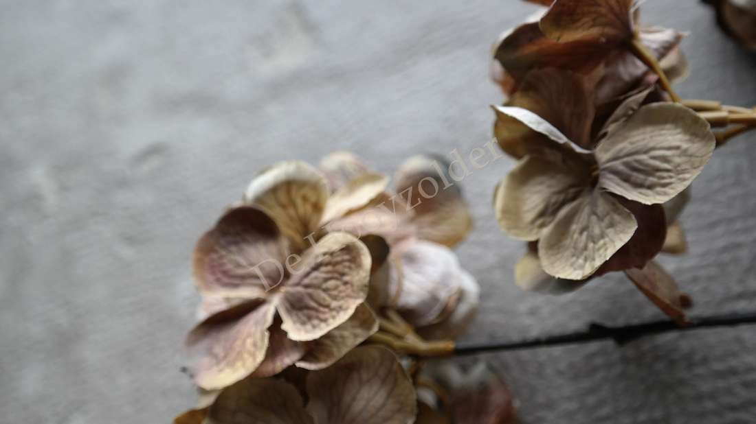 Hortensia zijde, zes bloemen in beige-bruin, niet-bloeiende kunstplant De Hooyzolder