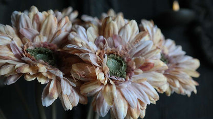 Drie gerbera kunstbloemen in perzikkleur met groene kernen; niet-bloeiende namaakplanten