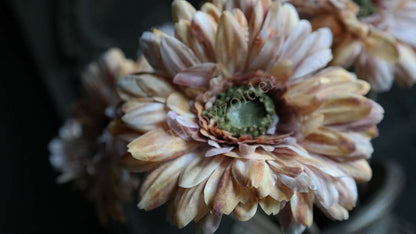 Gerbera kunstbloem koffiekleur met subtiele perzik- en bruintinten, merk De Hooyzolder