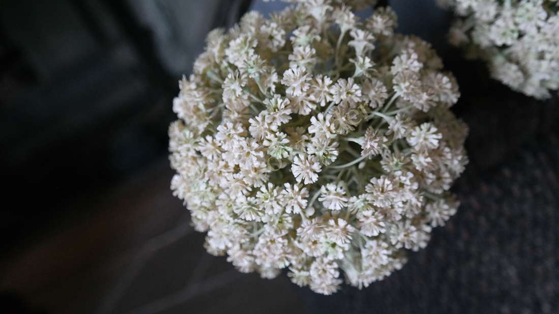 Allium bloem créme XL, cremekleurige niet-bloeiende kunstplant in bolvorm