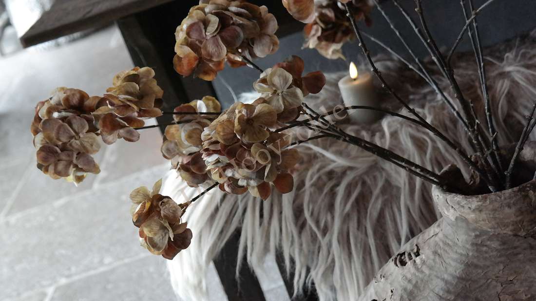 Hortensia gedroogd, zes bloemen in beige-bruin, zijden kunstplant in een ruwe, lichtgrijze vaas van De Hooyzolder