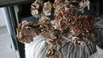 Hortensia gedroogde 6 bloemen in beige bruin zijde, kunstplant