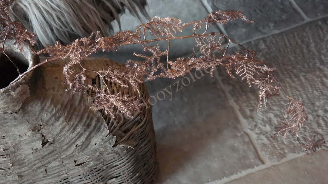 Asparagus tak wild namaak, koperkleurig, 135 cm, De Hooyzolder watermark zichtbaar in rieten mand