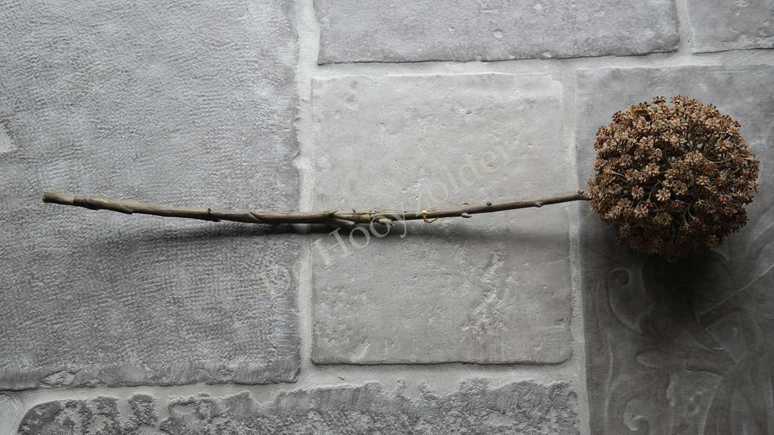 Allium bloem bruin XL, De Hooyzolder, niet-bloeiende kunstplant