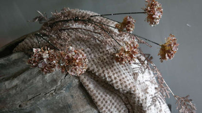 Plaid Rick fluffy - nougat, zachte pluizige plaid in nougatkleur met gedroogde bloemen op een rotsachtergrond