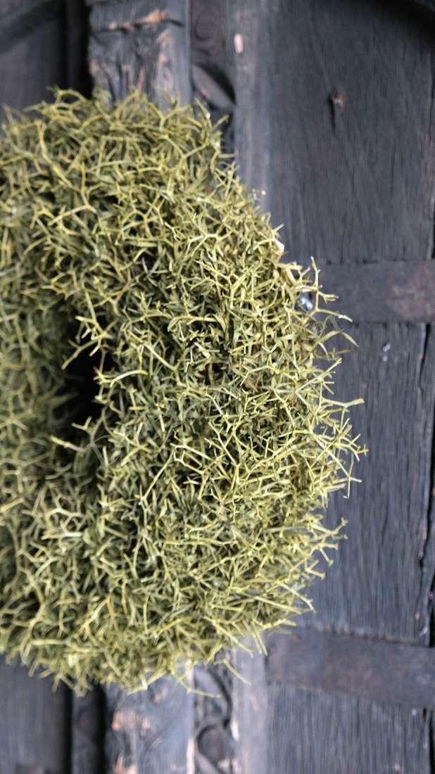 Krans Iron bush naturel, 30 cm, ronde krans van gedroogd groen takwerk tegen donker houten achtergrond