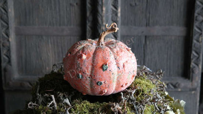 Krans mos-takken- 30 cm: oranje pompoen met groene vlekken op een mosbasis; De Hooyzolder zichtbaar.