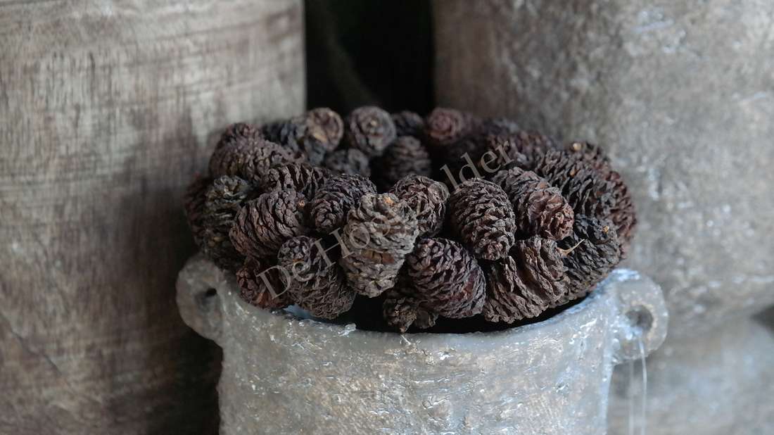 Dennenappel kransje 15 cm van De Hooyzolder, ring van donkere dennenappels op een grijs rustiek pot.