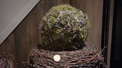 Mosbal-bonsai XL van De Hooyzolder, groene mosbal op takkennest