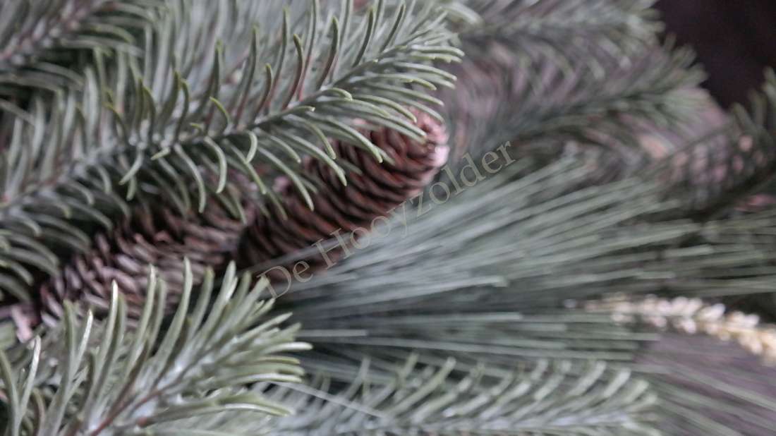 Hanger dennen/pinus real touch, 80 cm, groene naalden met dennenappel, De Hooyzolder zichtbaar