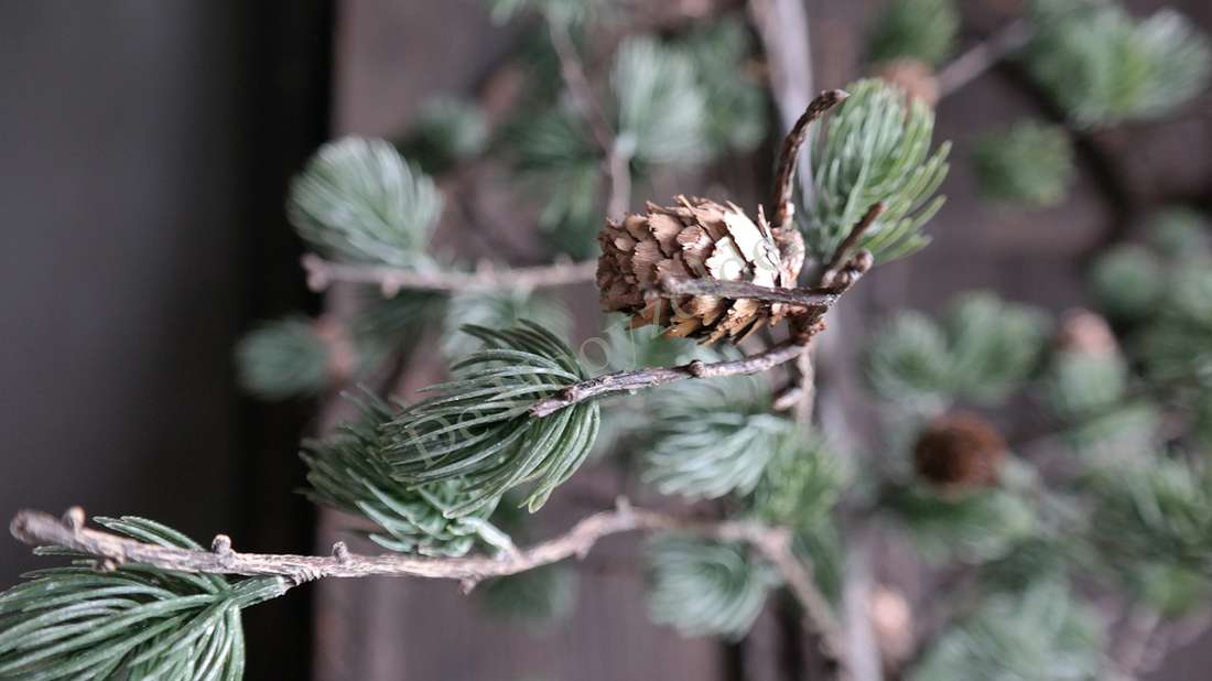 Larix pine boom M 122 cm, kunstboomtak met groene naalden en dennenappel