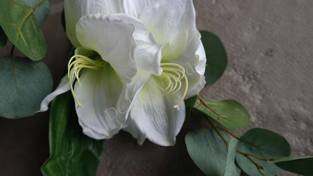 Boeket amaryllis wit, 83 cm lang, witte bloem met gele meeldraden en groene bladeren De Hooyzolder