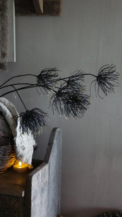 SAM_2708