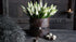SAM_3508-neyslifestyle