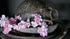 SAM_2868-neyslifestyle