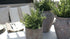 SAM_5256-neyslifestyle
