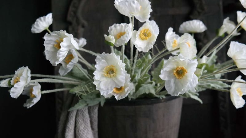 SAM_3963-neyslifestyle