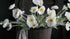 SAM_3963-neyslifestyle