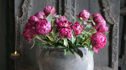 SAM_5147-neyslifestyle