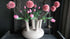 SAM_4275-neyslifestyle