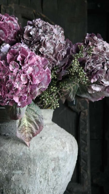 SAM_4635-neyslifestyle