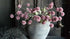 SAM_3553-neyslifestyle
