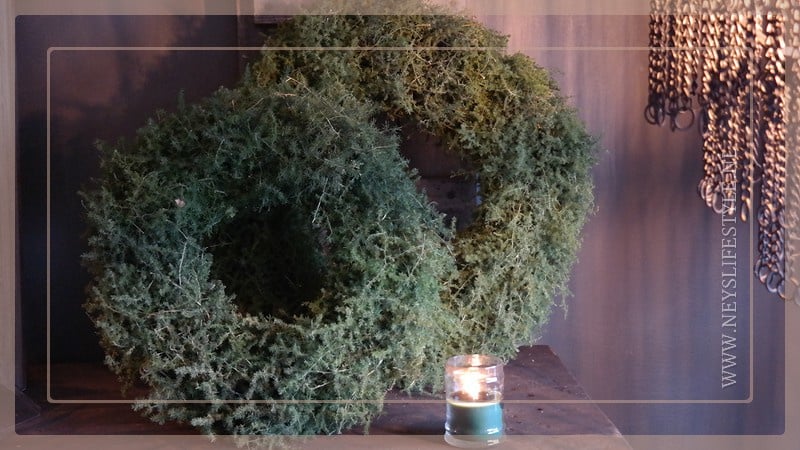 SAM_0359-neyslifestyle