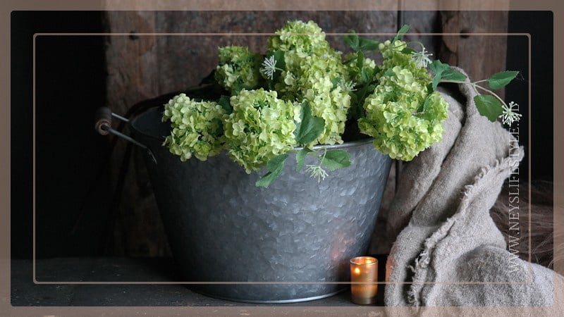 SAM_0887-neyslifestyle