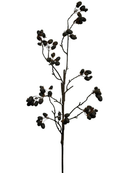acorn 120 cm