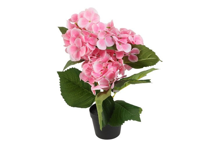 830435pink7801-1c1f2d0964efaf5c5fd3dc689ce88ea78495441a