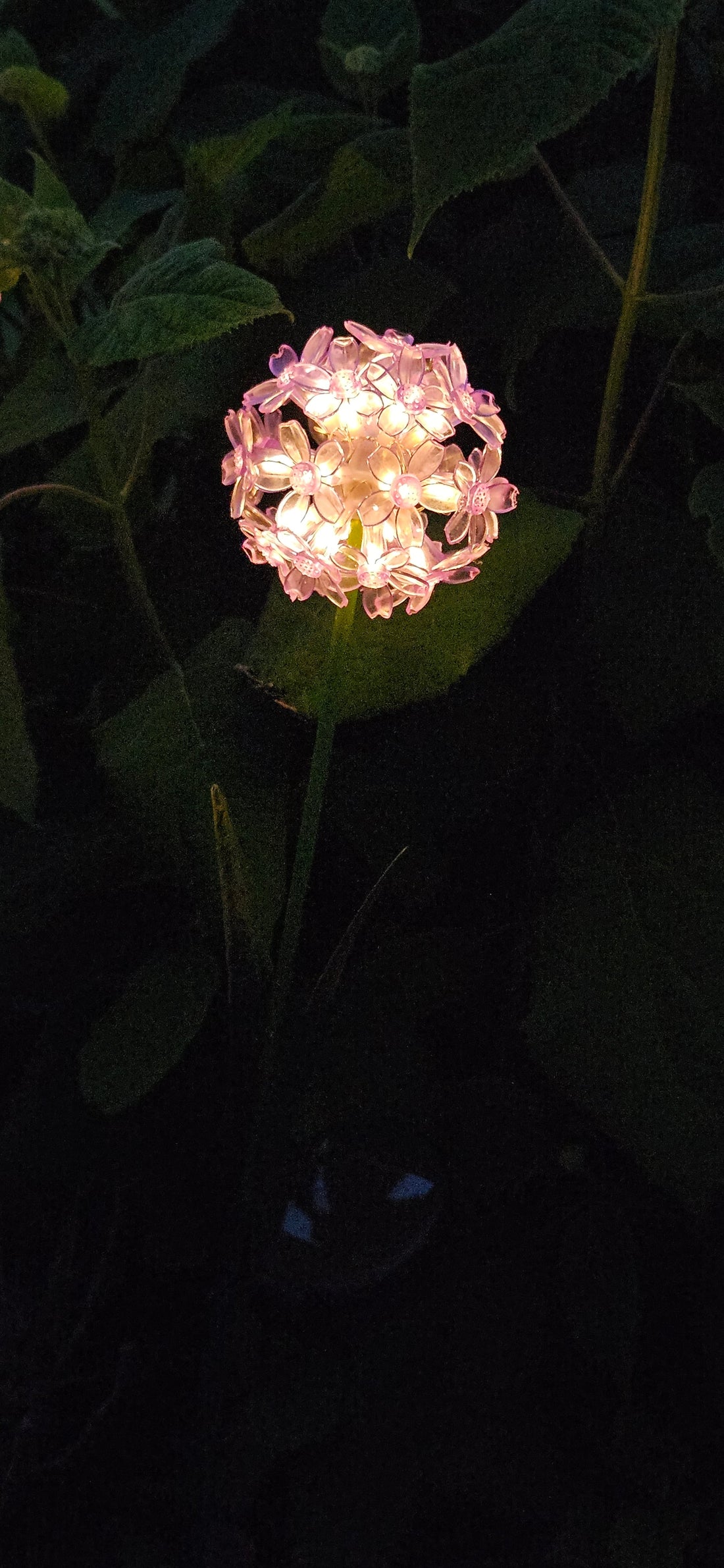 20250531_221720