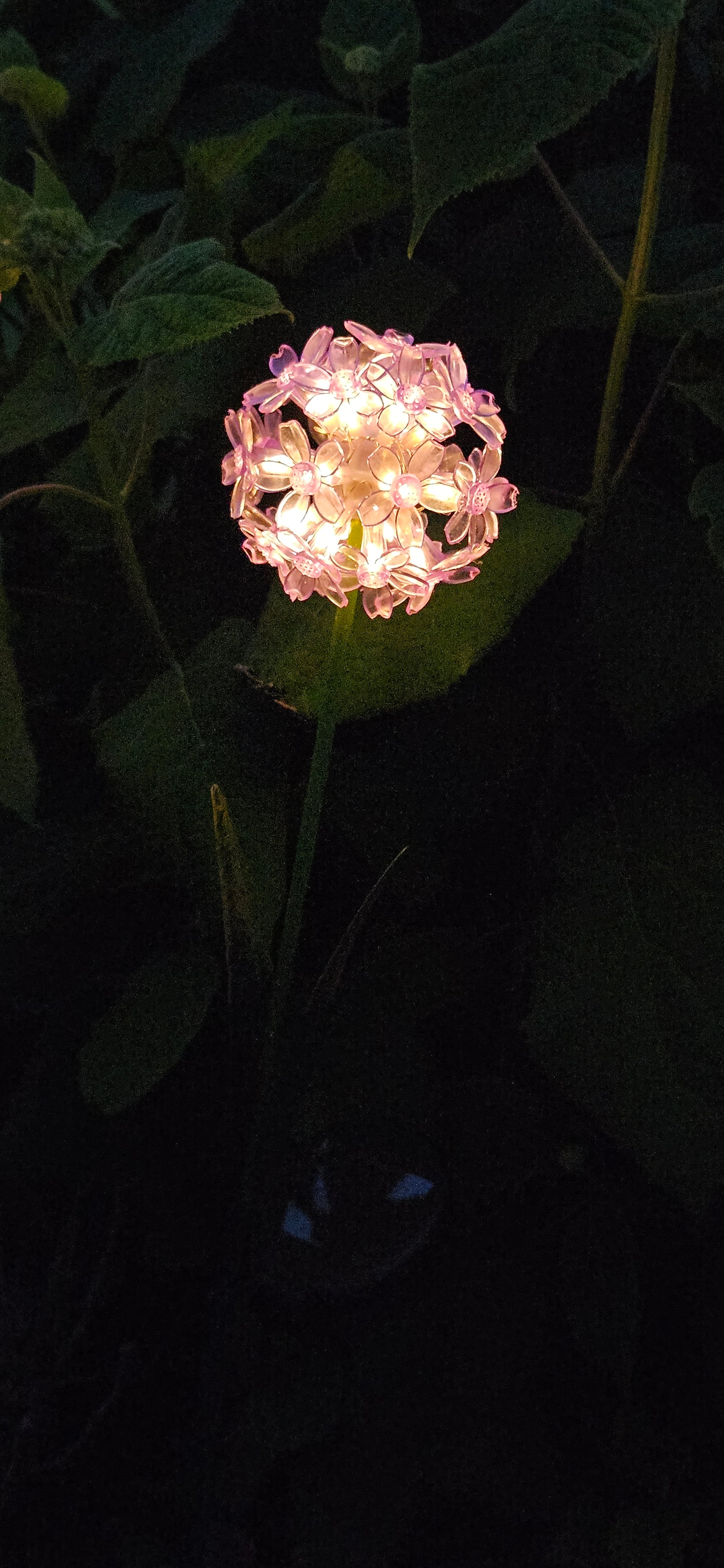 20250531_221720