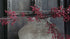 SAM_5413-neyslifestyle