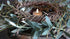 SAM_5633-neyslifestyle