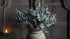 SAM_3387-neyslifestyle