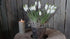 SAM_4454-neyslifestyle
