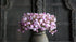 SAM_0588