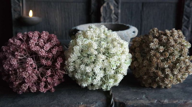 SAM_3167-neyslifestyle