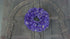 SAM_0571-neyslifestyle