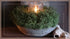 SAM_0369-neyslifestyle