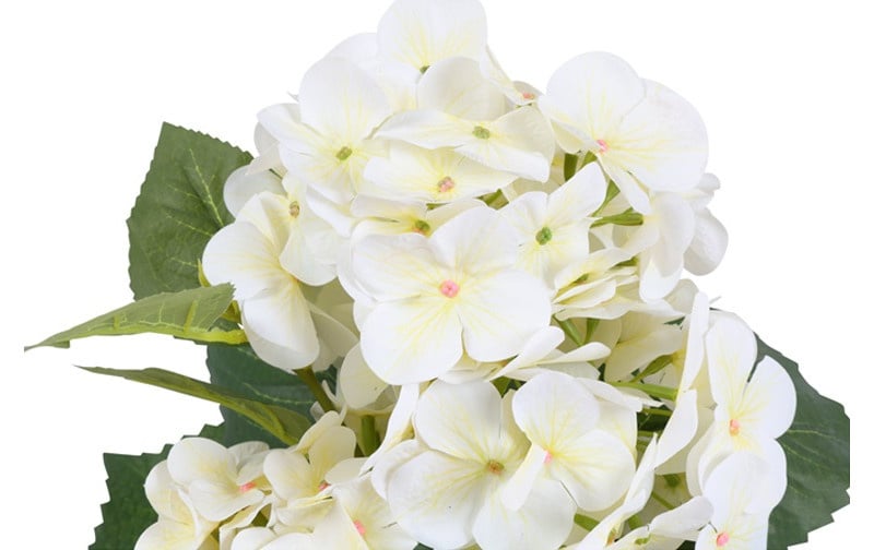 830434white7802-a7efa0a6e46982db1fa28b95e13078352c2b3f15