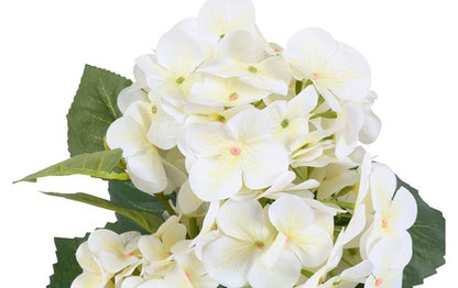 830434white7802-a7efa0a6e46982db1fa28b95e13078352c2b3f15