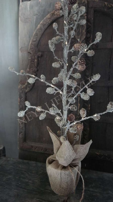 SAM_2244-neyslifestyle