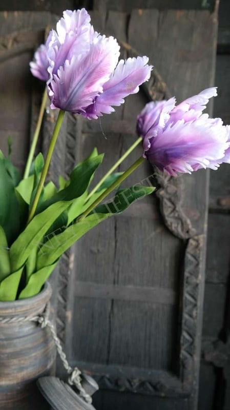 SAM_7716-neyslifestyle