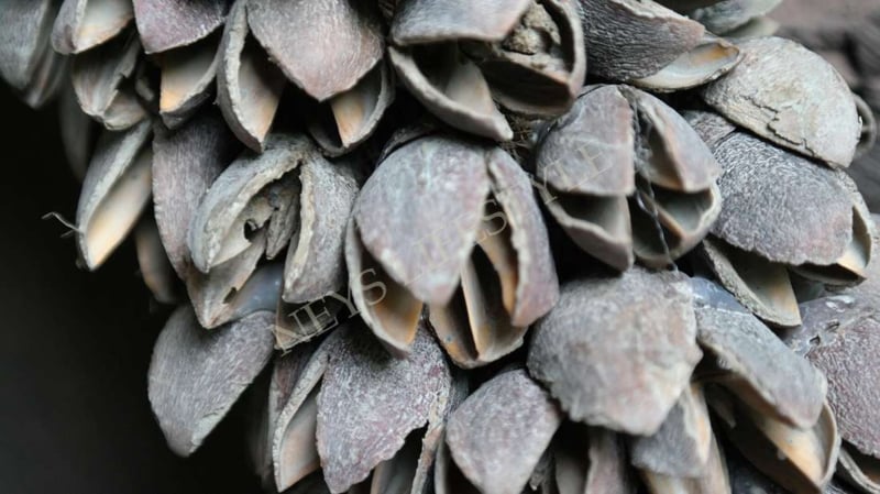 SAM_0481-neyslifestyle