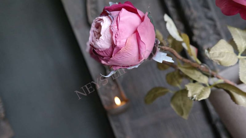 SAM_1543-neyslifestyle