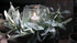 SAM_5006-neyslifestyle