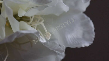 SAM_1884-neyslifestyle